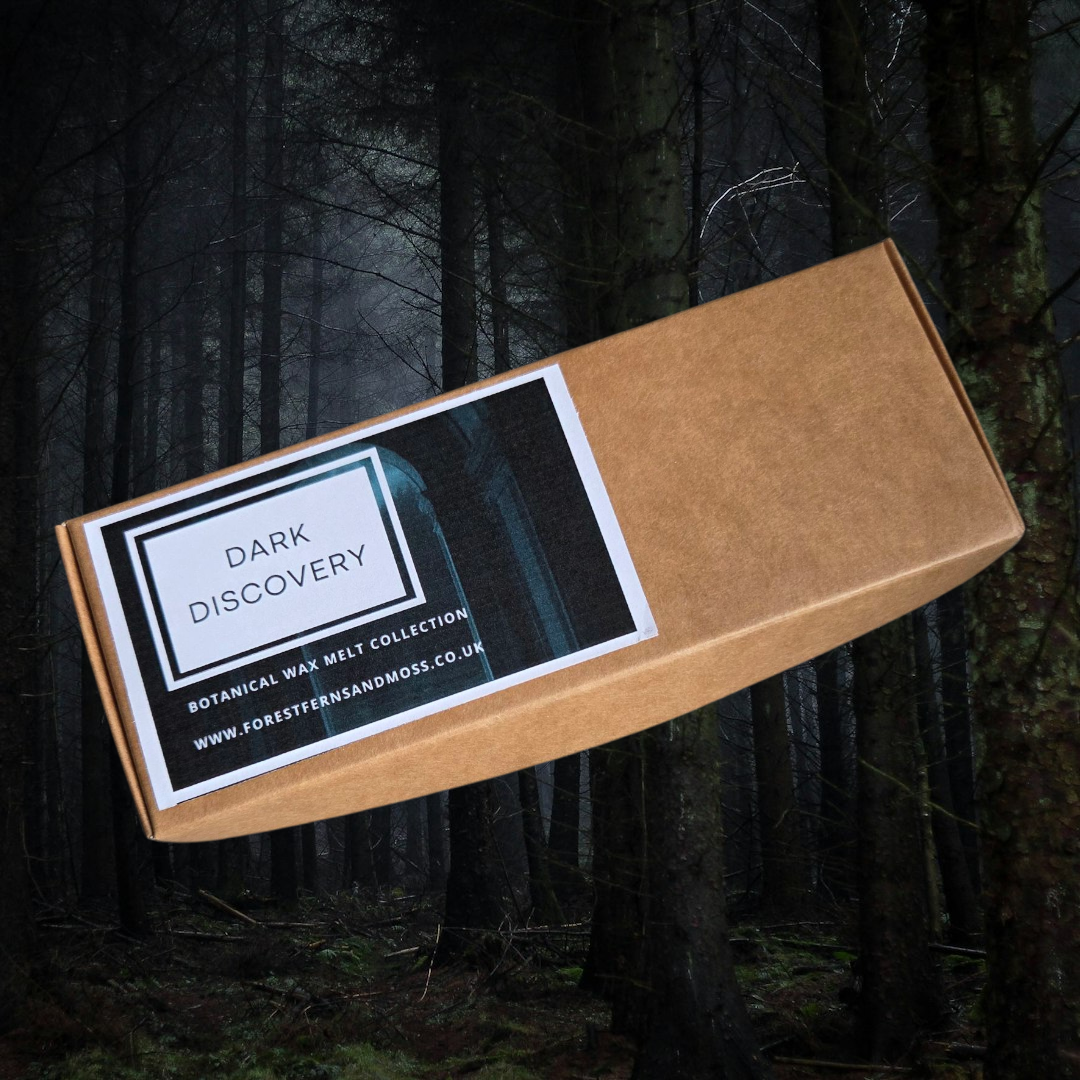 WAX MELT GIFT BOX - DARK DISCOVERY