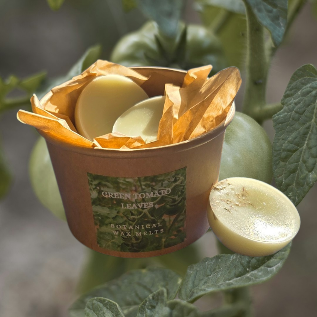 BOTANICAL WAX MELT TUB - GREEN TOMATO LEAVES – Forest Ferns & Moss