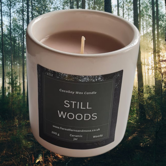 WHITE CERAMIC CANDLE - STILL WOODS