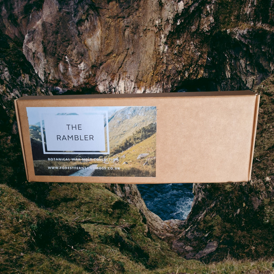 WAX MELT GIFT BOX - THE RAMBLER