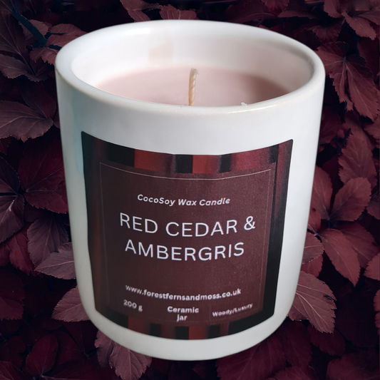 WHITE CERAMIC CANDLE - RED CEDAR & AMBERGRIS