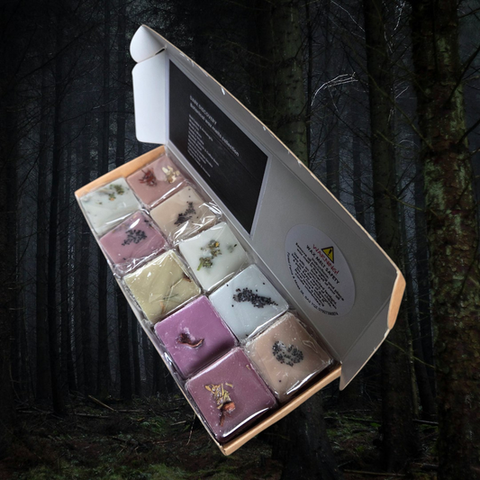 WAX MELT GIFT BOX - DARK DISCOVERY