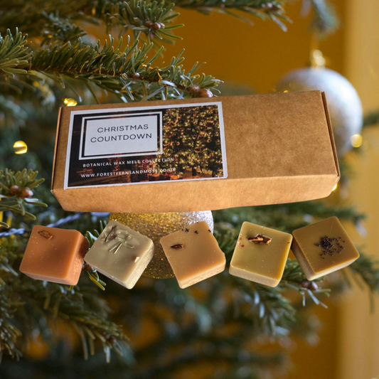 WAX MELT GIFT BOX - CHRISTMAS COUNTDOWN