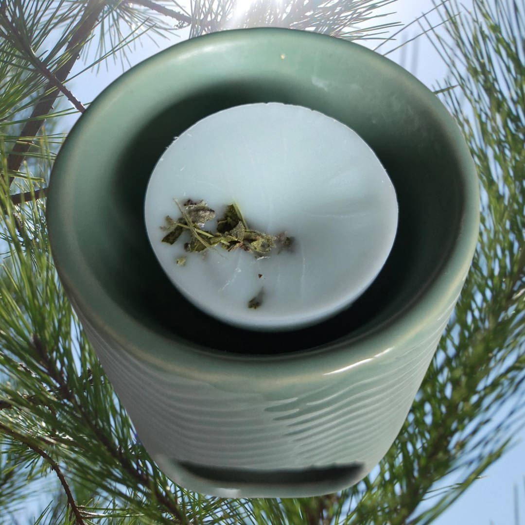 BOTANICAL WAX MELT TUB - SEASALT & CEDAR