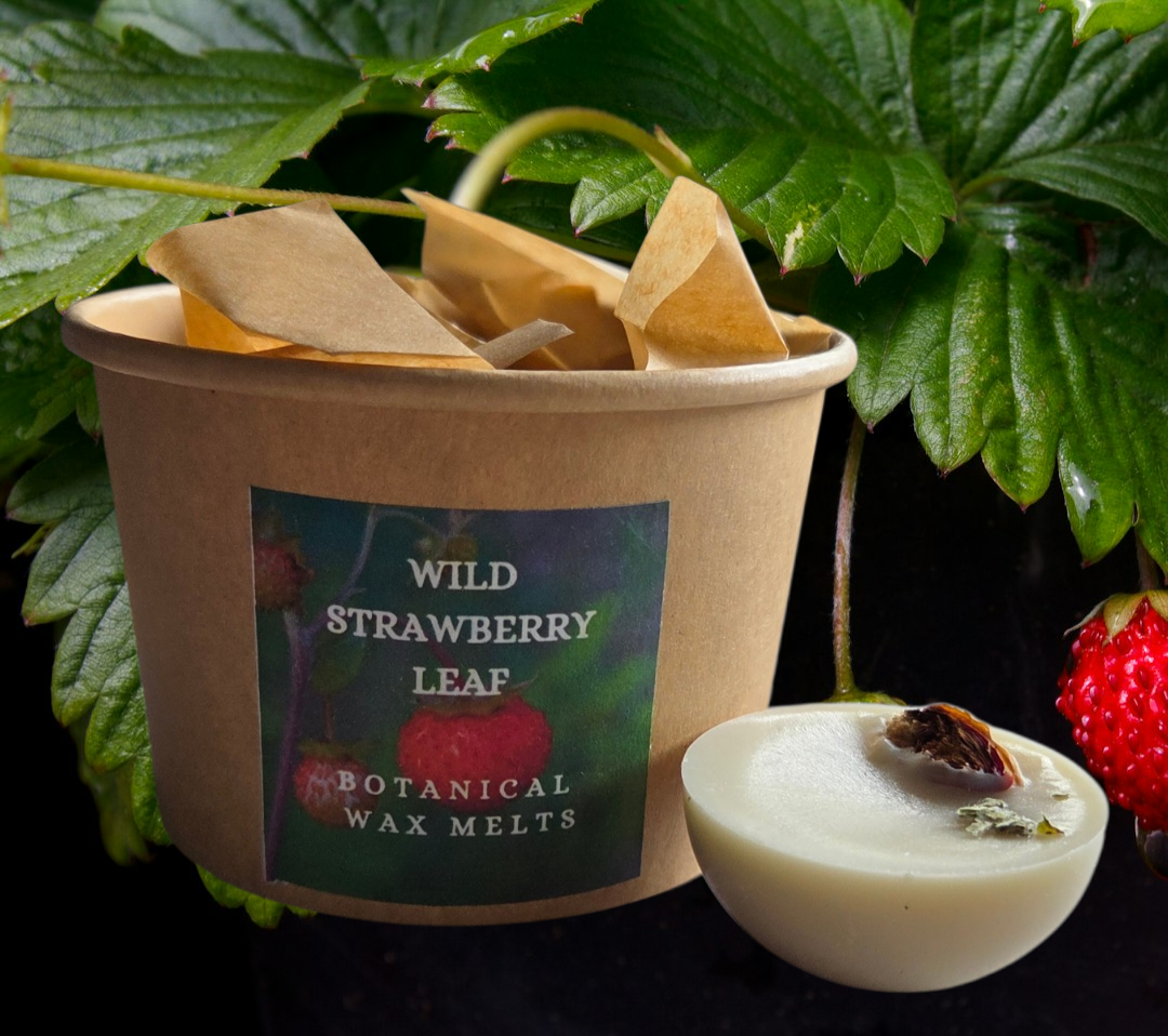 BOTANICAL WAX MELT TUB - WILD STRAWBERRY LEAF