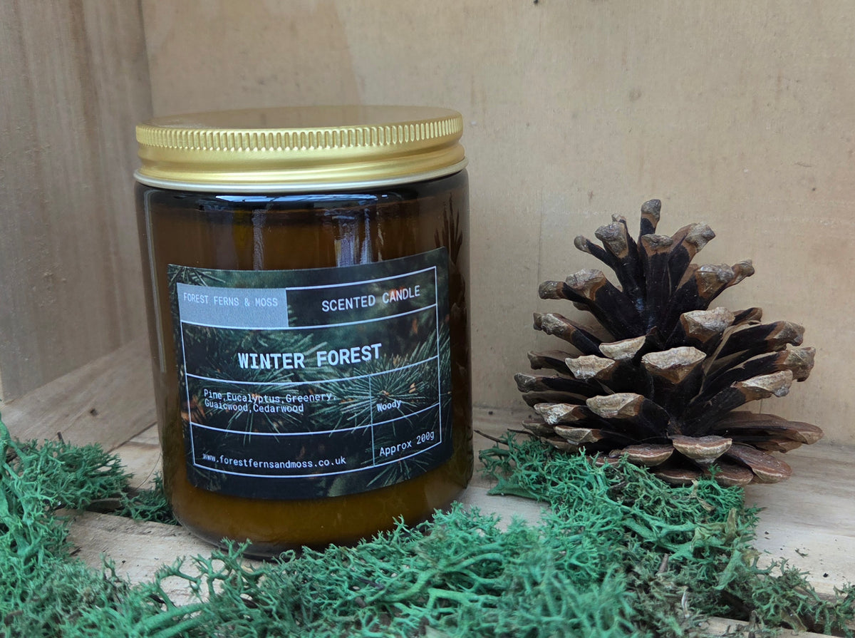 AMBER JAR CANDLE WITH GOLD LID - WINTER FOREST