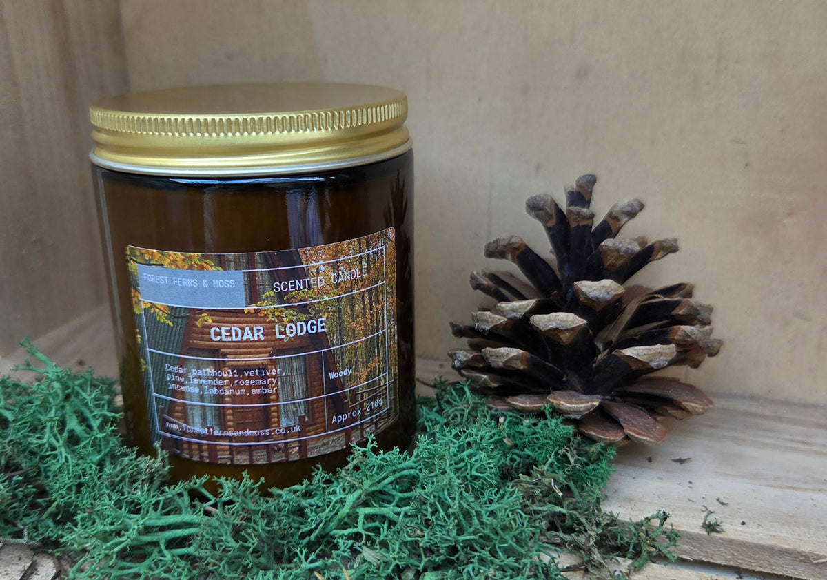 AMBER JAR CANDLE WITH GOLD LID - CEDAR LODGE