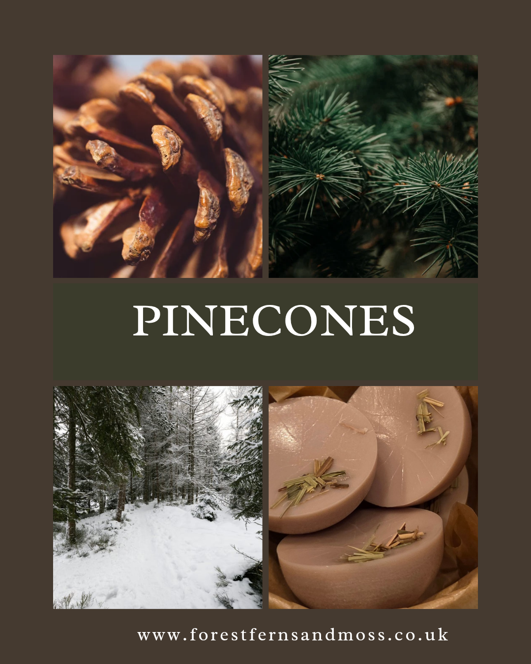 BOTANICAL WAX MELT TUB - PINECONES