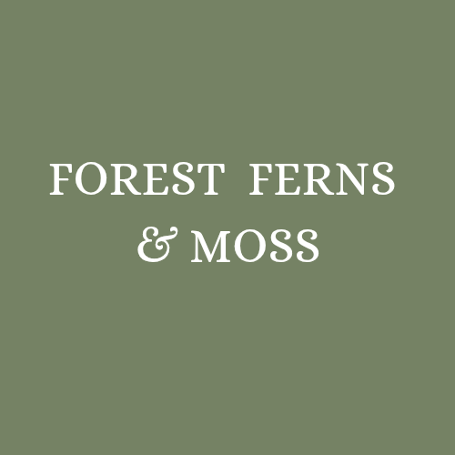 Forest Ferns & Moss