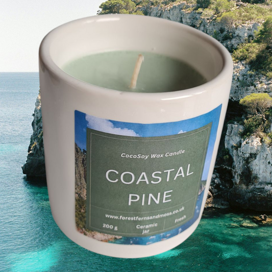 WHITE CERAMIC CANDLE - COASTAL PINE