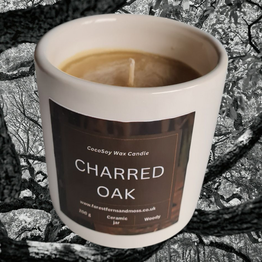 WHITE CERAMIC CANDLE - CHARRED OAK